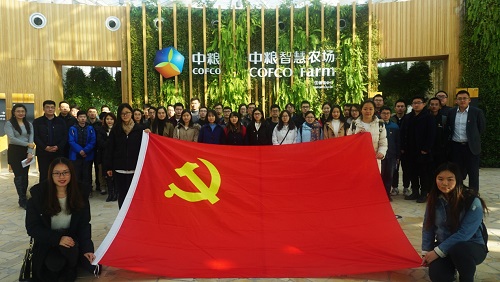 做爱片