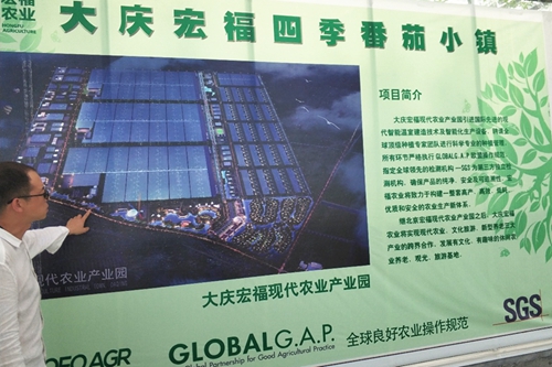 做爱片