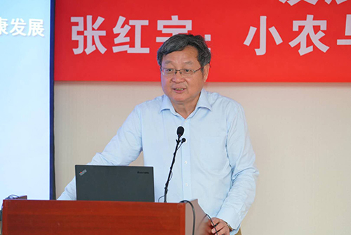 做爱片