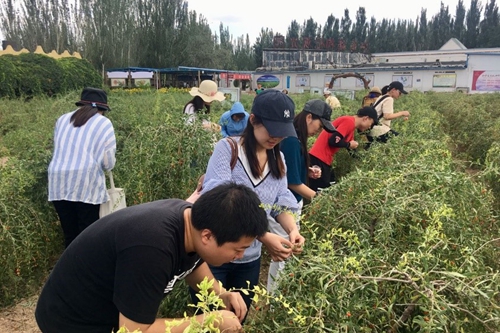 做爱片